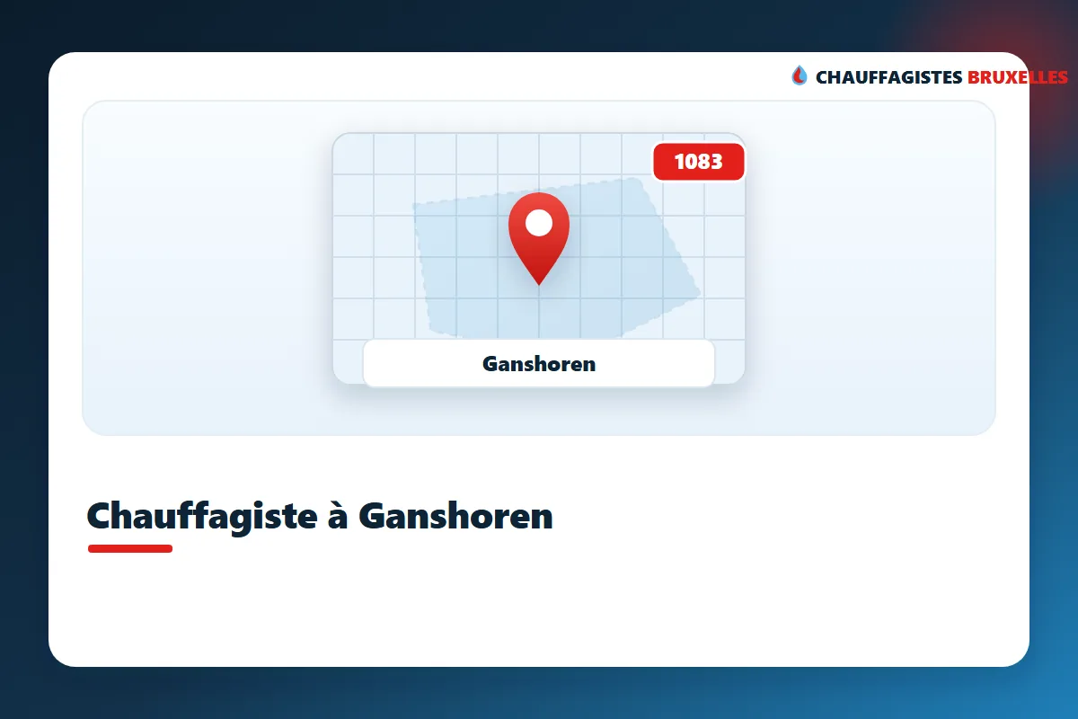 Verwarmingsinstallateur in Ganshoren voor het onderhoud van de ketel (1083)