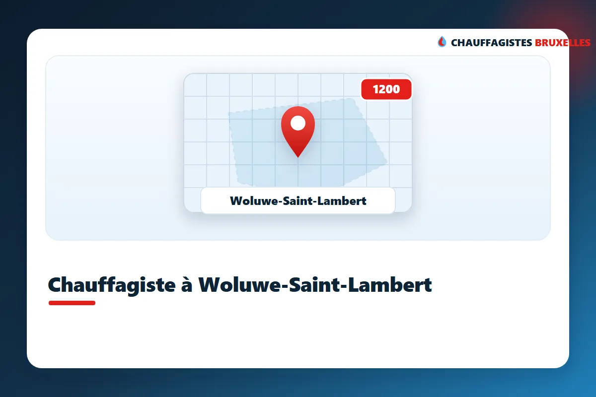 Verwarmingsinstallateur in Sint-Lambrechts-Woluwe voor onderhoud van de ketel (1200)